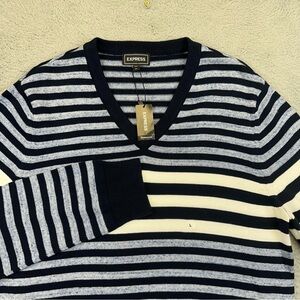 Express Sweater Mens Large Blue White Striped Knit Cotton V Neck Business Casual